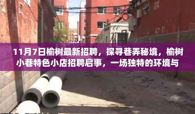 榆树小巷特色小店招聘启事,探寻巷弄秘境,环境与人才的独特邂逅日启幕