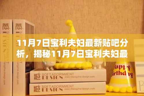 揭秘宝利夫妇最新贴吧动向,深度分析与热议(11月7日更新)