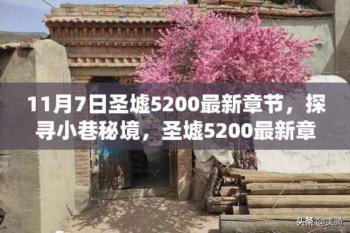 探寻小巷秘境,圣墟5200最新章节背后的独特小店揭秘