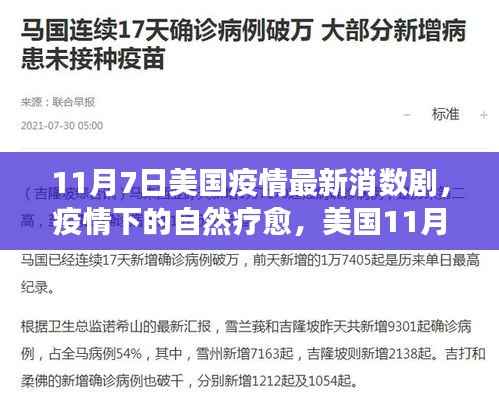 美国疫情最新数据下的自然疗愈与绿色旅行新篇章(11月7日)