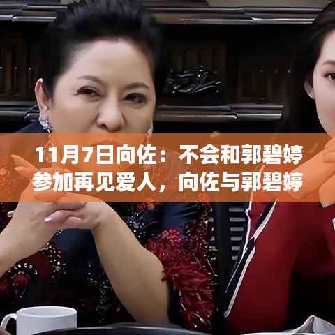 向佐与郭碧婷的爱波折前行,缺席再见爱人,情感依旧坚定