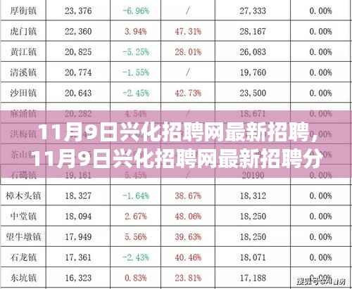 11月9日兴化招聘网最新招聘热点解析,利弊探讨与观点冲突