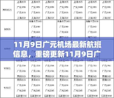 11月9日广元机场航班最新动态,揭秘最新航班信息一网打尽
