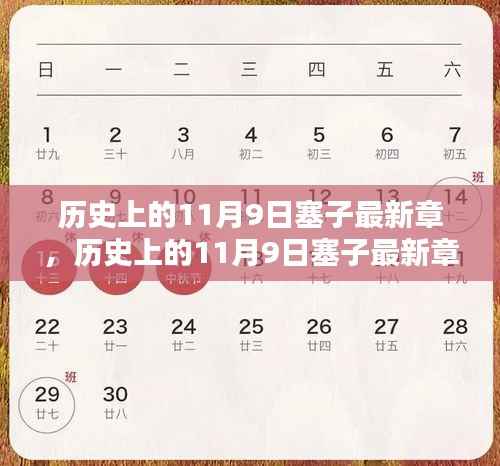 历史上的11月9日塞子最新章，任务完成与技能学习全攻略（初学者与进阶用户必读）