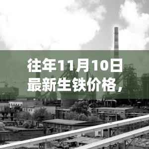 往年11月10日生铁价格指南，最新价格及查询方法