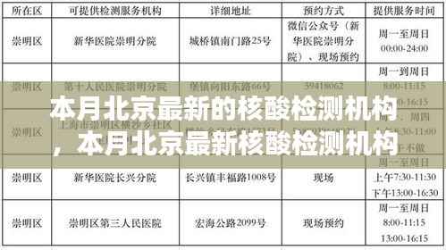 北京最新核酸检测机构探析,多方观点与个人立场阐述