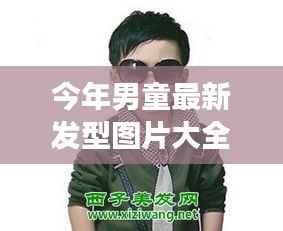 今年男童发型流行趋势，最新发型图片大全与潮流变迁盘点