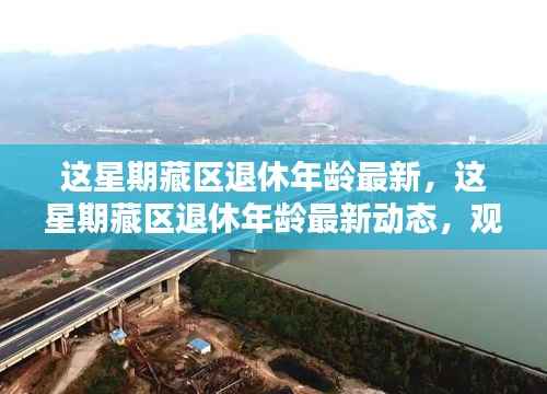 藏区退休年龄最新动态,观点阐述与解析