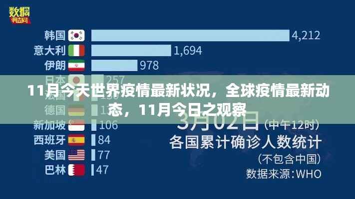 全球疫情最新动态观察,11月今日疫情状况报告