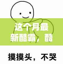 本月酷霸的日常，友情、欢笑与爱的温馨时光记录