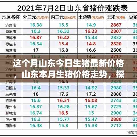 山东本月生猪价格走势揭秘，最新价格与背后影响因素探究