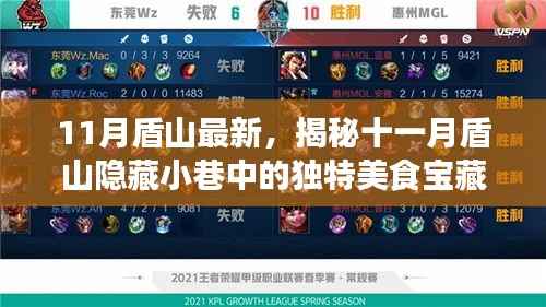 揭秘十一月盾山隐藏美食宝藏,独特小巷中的特色小店