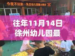 往年11月14日徐州幼儿园动态更新,见证成长与变革的时刻
