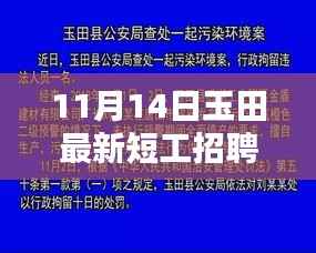 11月14日玉田最新短工招聘信息详解与全面评测