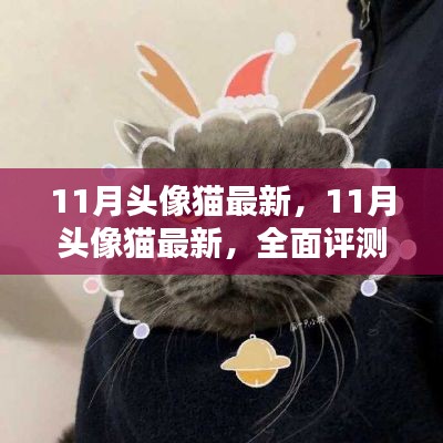 最新评测与介绍,11月头像猫全面指南