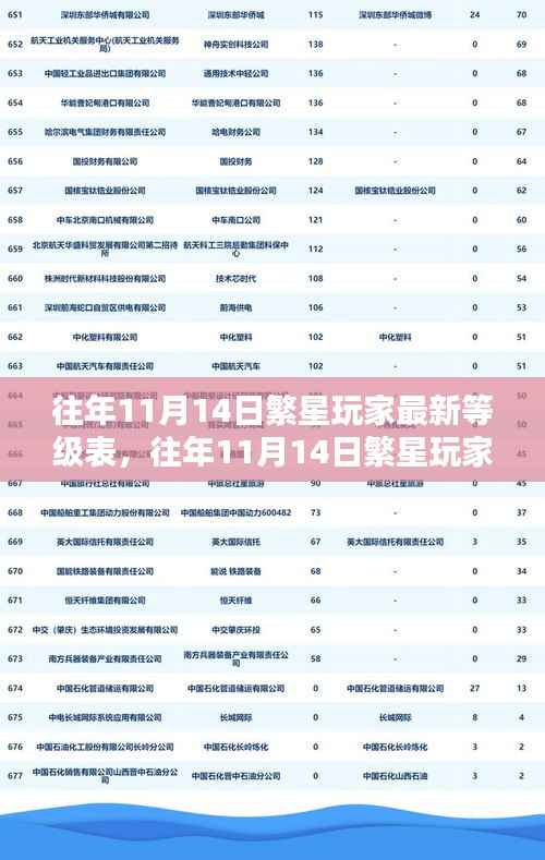 往年11月14日繁星玩家等级表评测,特性、体验、竞品对比与用户群体深度分析