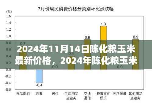2024年陈化粮玉米最新价格详解,查询与理解指南