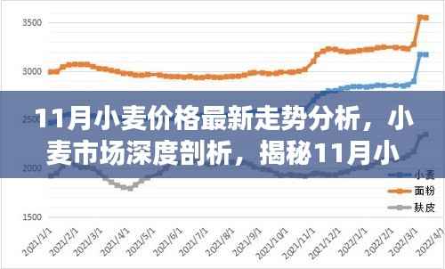 揭秘11月小麦价格走势,市场深度分析与最新动态报告