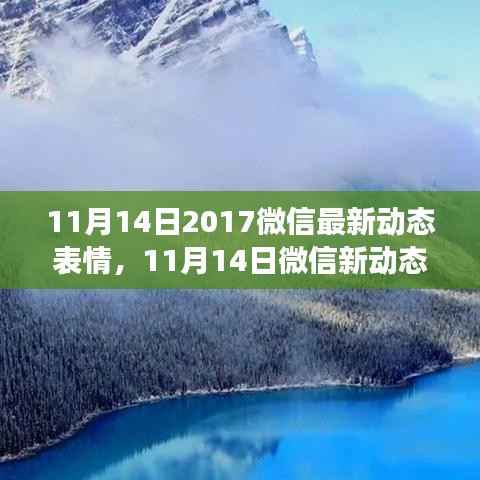 微信新动态表情,自然美景的心灵之旅开启!