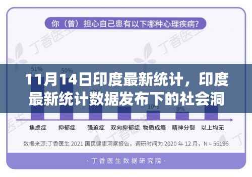 印度最新统计数据发布下的社会洞察与热议