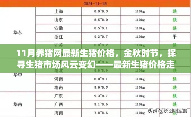 金秋时节生猪市场风云变幻,最新生猪价格走势深度解析与预测