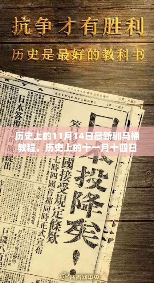 揭秘驯马桶教程,开启智慧生活新篇章的历史时刻(十一月十四日最新教程)