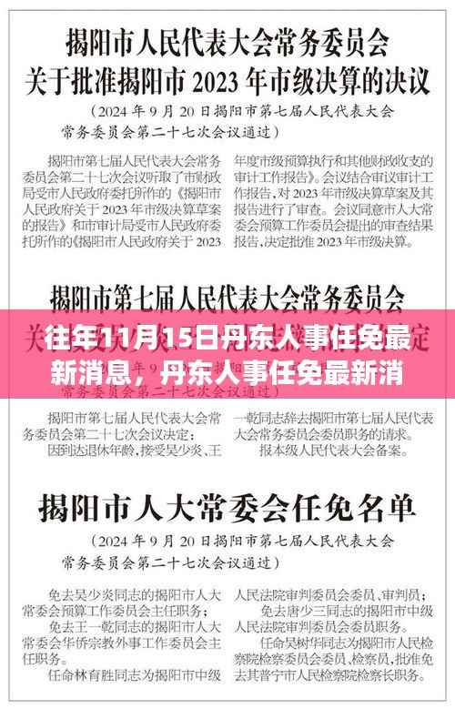 丹东人事任免最新动态,深度评测与介绍