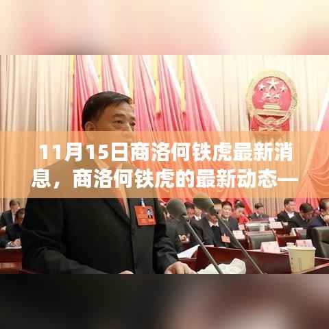 商洛何铁虎最新动态,聚焦11月15日消息更新