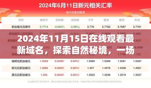 探索自然秘境,最新域名奇妙旅行日