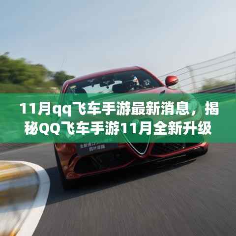 QQ飞车手游11月全新升级揭秘,科技驰骋赛道,极速未来等你体验