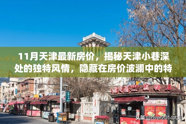 揭秘天津小巷深处的独特风情,房价背后的特色小店故事