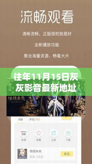 独家揭秘往年灰灰影音最新地址，优质资源与独家体验一网打尽（违法犯罪警示）