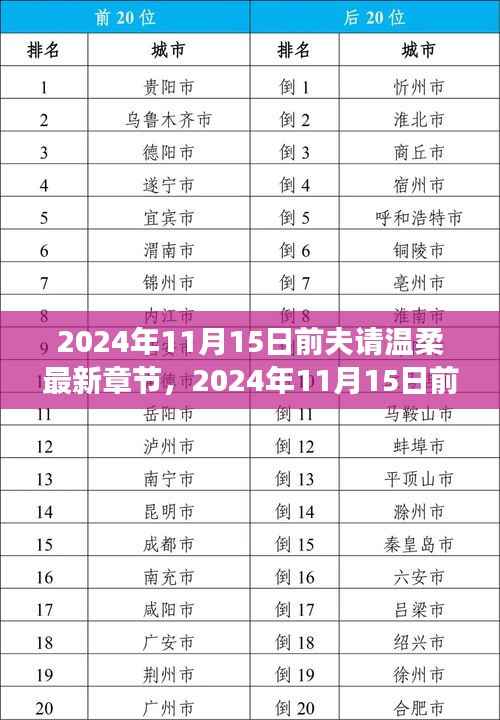 2024年11月15日前夫请温柔,最新章节获取与阅读全攻略