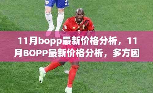 11月BOPP价格分析,多方因素考量与观点碰撞