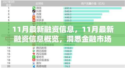 洞悉金融机遇与挑战，11月最新融资信息全景概览