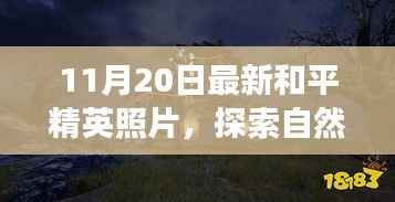 和平精英自然秘境探索之旅，11月20日最新照片展现极致体验