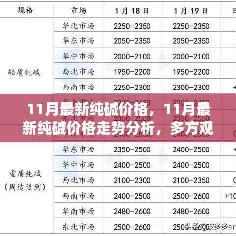 11月最新纯碱价格,11月最新纯碱价格走势分析,多方观点碰撞与个人立场阐述