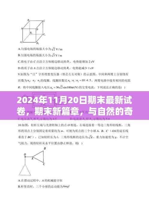 2024年11月20日启程,期末新篇章,探索自然未知美景的奇妙邂逅