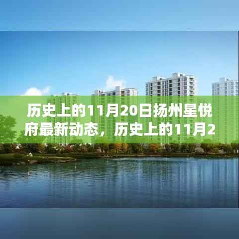 历史上的11月20日扬州星悦府最新动态,历史上的11月20日扬州星悦府最新动态——探访历程与活动指南