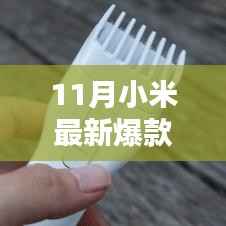 走马观花 第3页