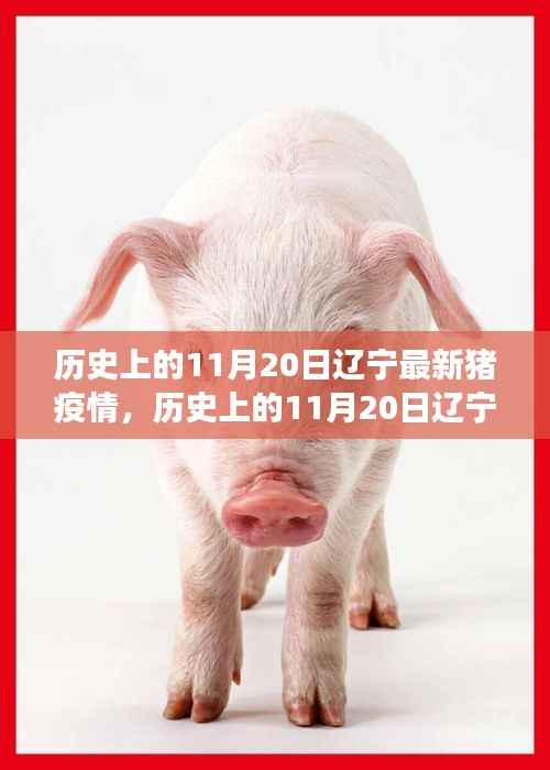 历史上的11月20日辽宁猪疫情深度解析与观点透视