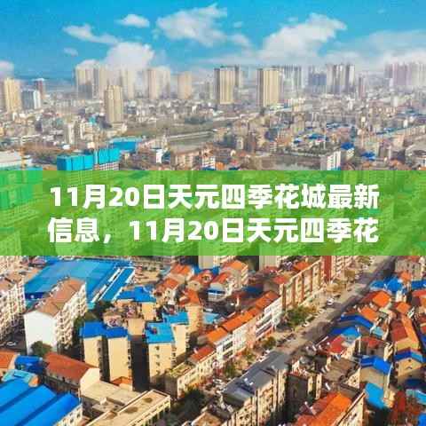 11月20日天元四季花城最新信息，11月20日天元四季花城揭秘，最新动态与信息速递