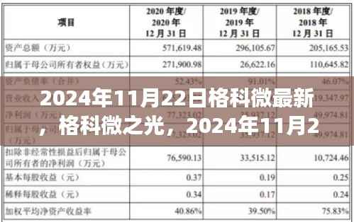 2024年11月22日格科微最新,格科微之光,2024年11月22日的回顾与展望