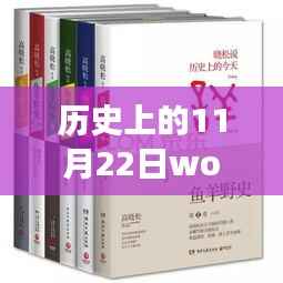 历史上的11月22日wolui的最新小说,历史上的11月22日,wolui最新小说背后的故事