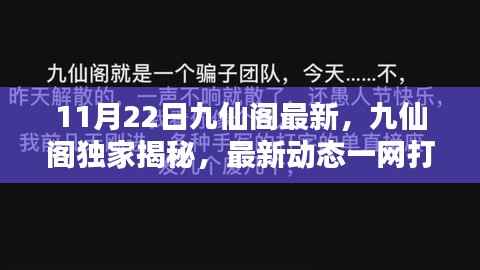 九仙阁独家揭秘,最新动态一网打尽,精彩纷呈的11月22日