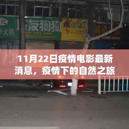 11月22日疫情电影最新消息,疫情下的自然之旅,电影新动态与内心的宁静之旅
