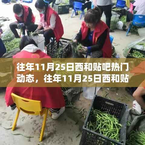 往年11月25日西和贴吧热门动态回顾,网络焦点瞬间汇聚的浪潮