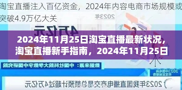 淘宝直播新手指南,详解2024年11月25日淘宝直播最新状况