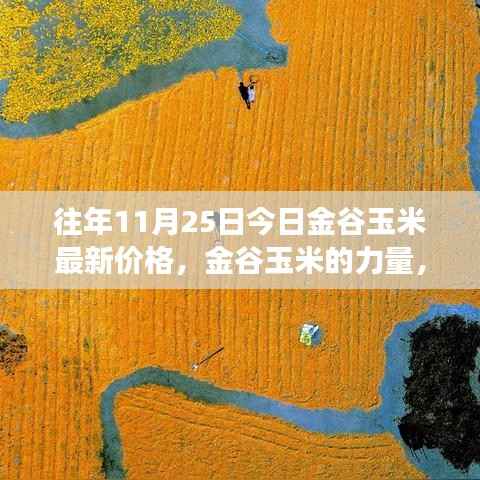 金谷玉米的力量,学习变化,收获自信与成就感——最新价格资讯(往年今日价格)