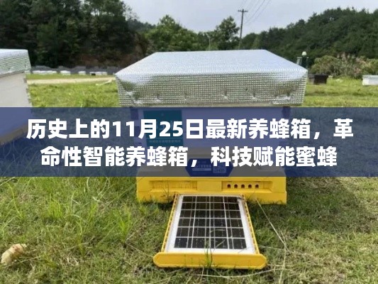 革命性智能养蜂箱,科技重塑蜜蜂生态,开启养蜂新纪元 11月25日最新动态报道